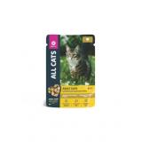 02AL912 ALL CATS корм конс. д/кошек тефтельки с курицей в соусе, пауч, 85гр*28